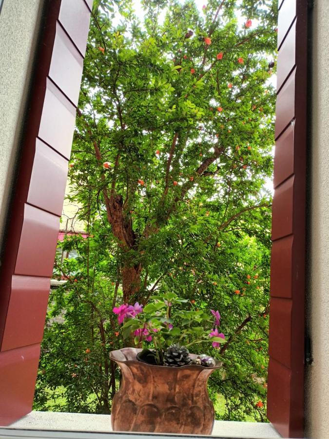 Hotel Il Melograno à Vittorio Veneto Extérieur photo